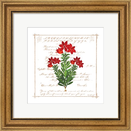 Framed Floral I Print