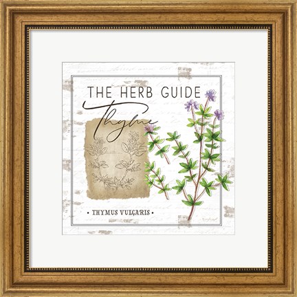 Framed Herb Guide - Thyme Print