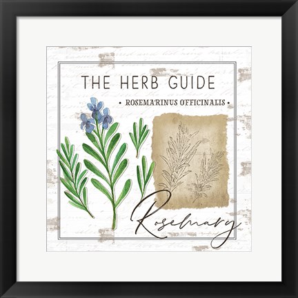 Framed Herb Guide - Rosemary Print