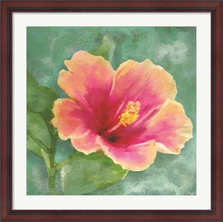 Framed Hibiscus I Print