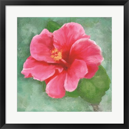 Framed Hibiscus II Print