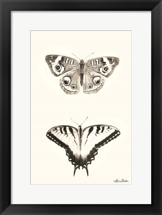 Framed Butterflies Print