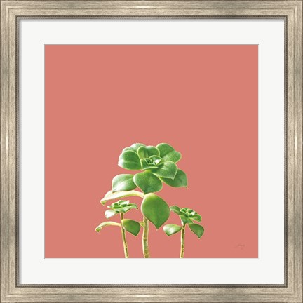 Framed Succulent Simplicity IX Coral Print