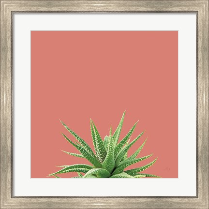 Framed Succulent Simplicity I Coral Print