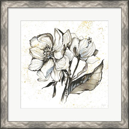 Framed Elegance III Print