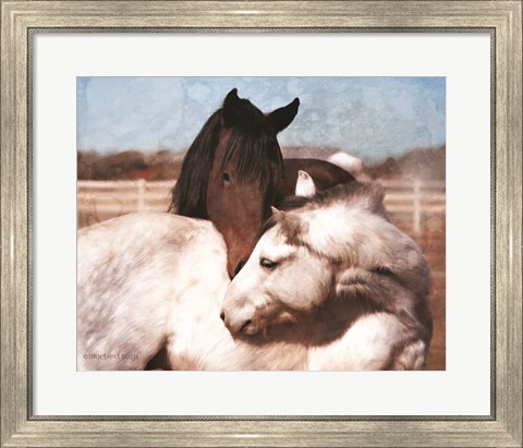 Framed White and Chestnut Horses Print