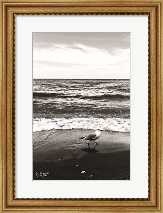 Framed Seagull I Print