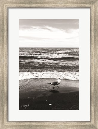 Framed Seagull I Print