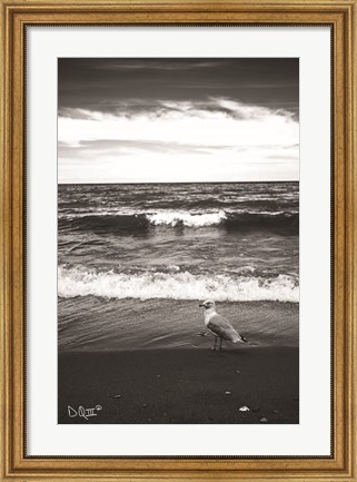 Framed Seagull II Print