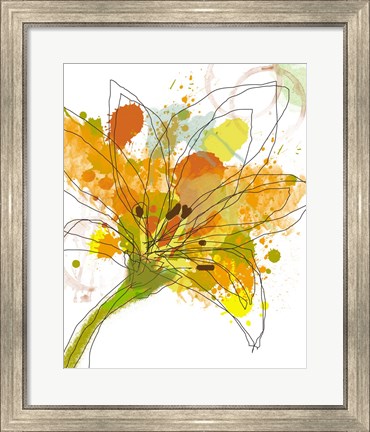 Framed Flower Print