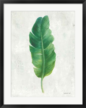 Framed Palms of the Tropics V Print