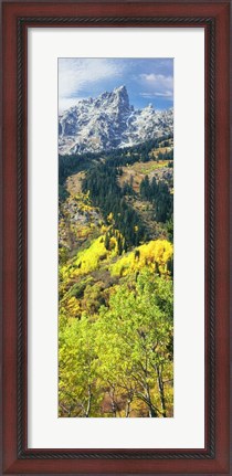 Framed View Of Trees At Bottom Of Mountain, Aspen Print