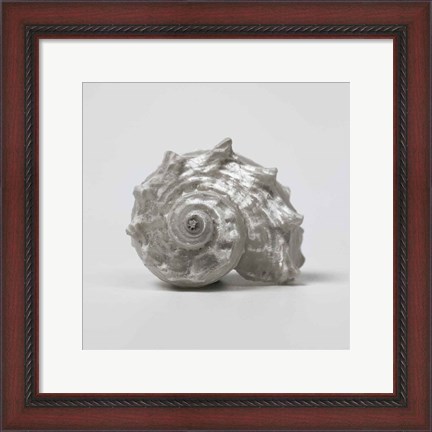 Framed Beachside Treasure III Print