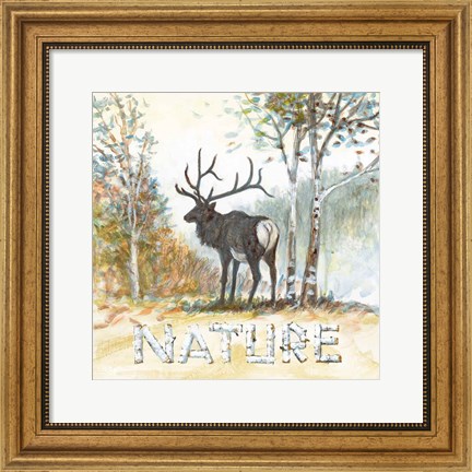 Framed Nature Print