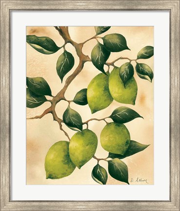 Framed Italian Harvest - Limes Print