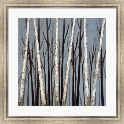 Framed Birch Shadows Print