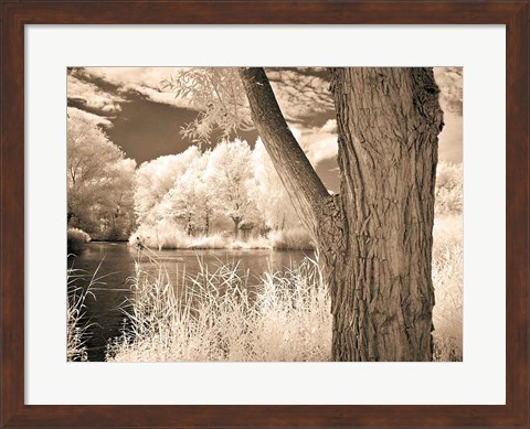 Framed Lakefront View II Print