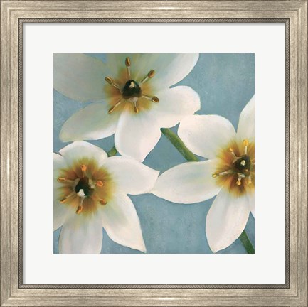 Framed Lily Parfait I Print