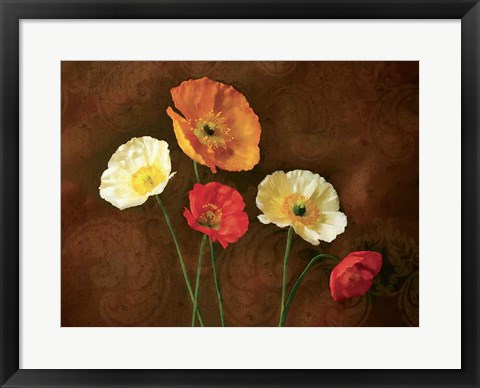 Framed Poppy Perfection I Print