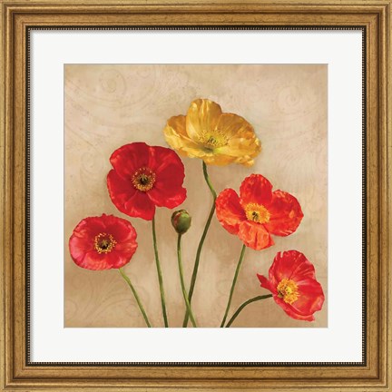 Framed Graceful Spring II Print