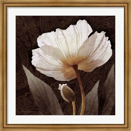 Framed Paisley Poppy I Print