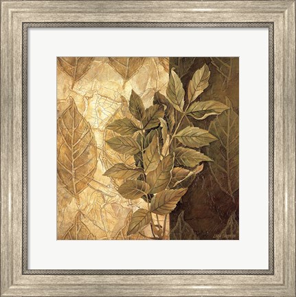 Framed Leaf Patterns IV Print