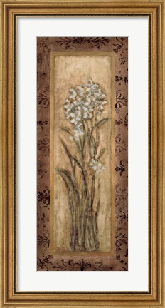 Framed Paperwhites II Print