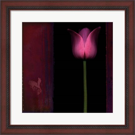 Framed Red Tulip I Print