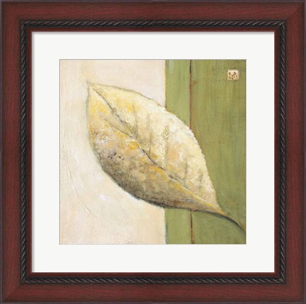 Framed Leaf Impression - Olive Print