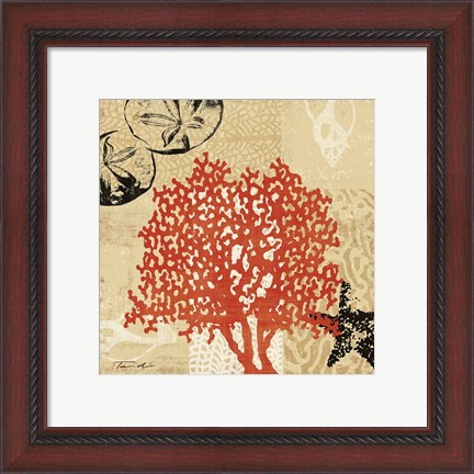 Framed Coral Impressions IV Print