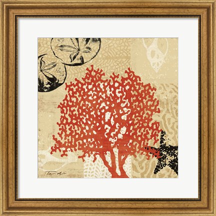 Framed Coral Impressions IV Print