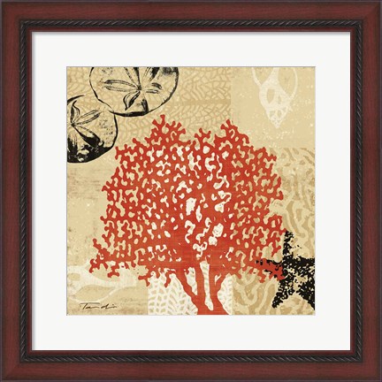 Framed Coral Impressions IV Print