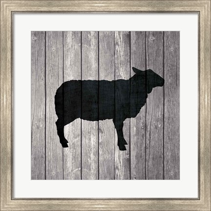 Framed Barn Sheep Print