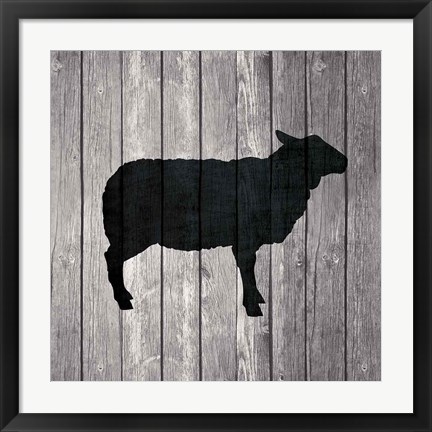 Framed Barn Sheep Print