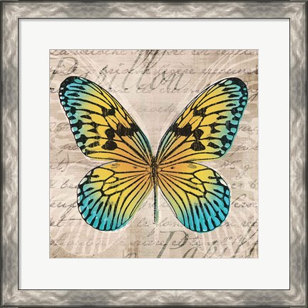 Framed Butterflies I Print