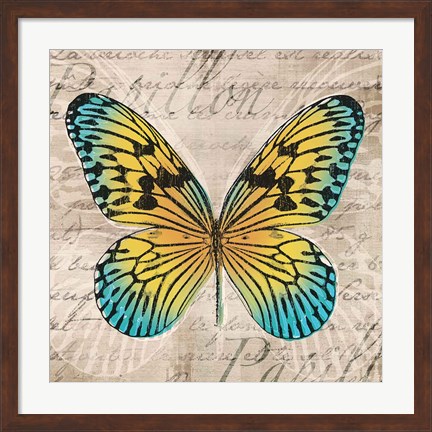 Framed Butterflies I Print