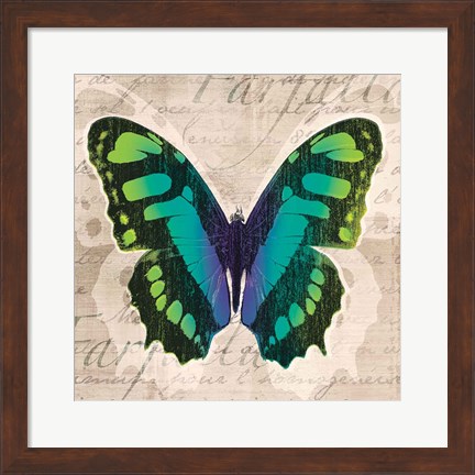 Framed Butterflies II Print