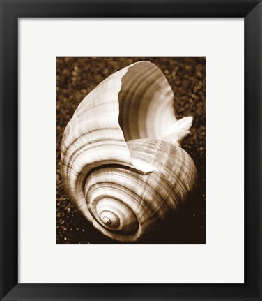 Framed Sea Gallery IV Print