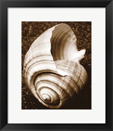 Framed Sea Gallery IV Print