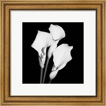 Framed Calla Portrait II Print