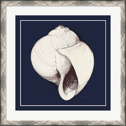 Framed Coastal Shell I with Border Navy Print