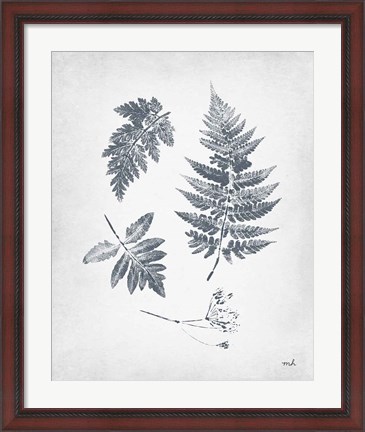 Framed Walk in the Woods II Print