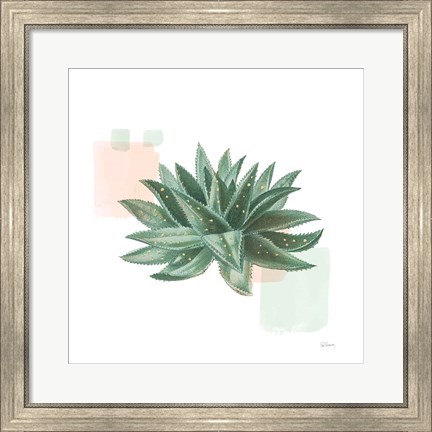 Framed Desert Color Succulent II Mint Print