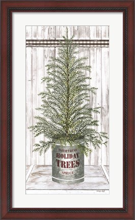 Framed Galvanized Pot Spruce Print