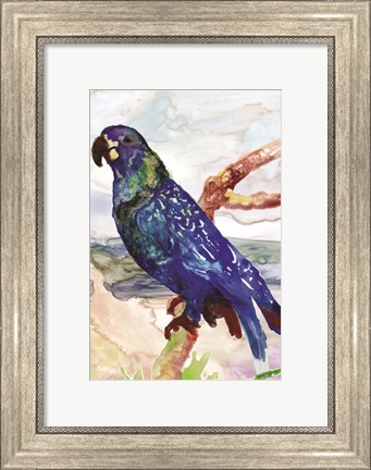 Framed Blue Parrot on Branch 2 Print