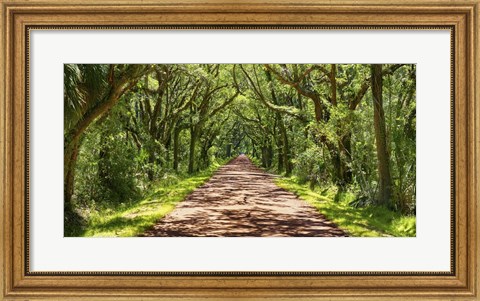 Framed Country Road Photo VII Print