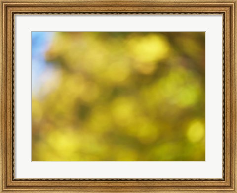 Framed Soft Landscape VI Print