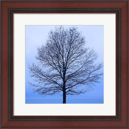 Framed November Tree Print