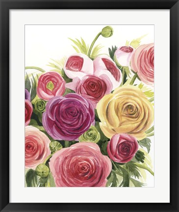 Framed Ranunculus Study II Print