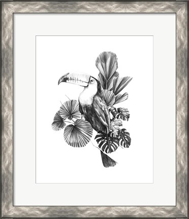 Framed Toucan Toile I Print